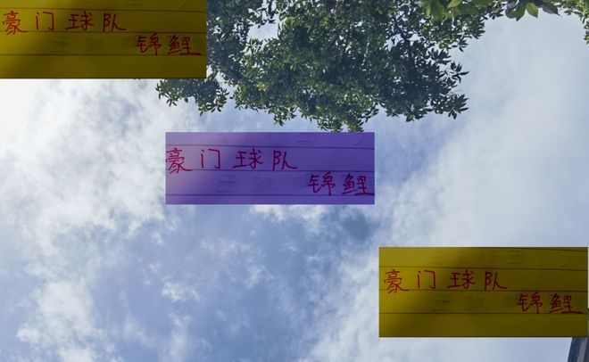 国安是柏杨 申花是于汉超 海港你认为是谁